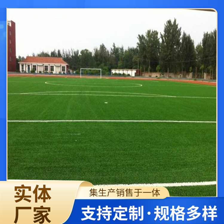 滨州市橡胶跑道人造草坪 - 排名